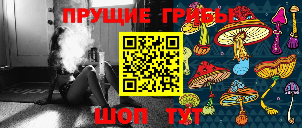 Галлюциногенные грибы прущие грибы  Вход с VPN  дарнет шоп  Юрга 