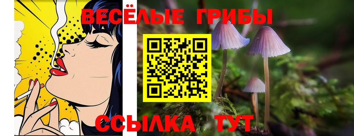 Псилоцибиновые грибы Magic Shrooms Юрга
