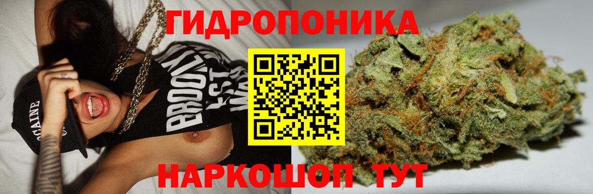 Юрга  Каннабис тримм  Вход с VPN  МАРИХУАНА SATIVA & INDICA  Канабис Bruce Banner 